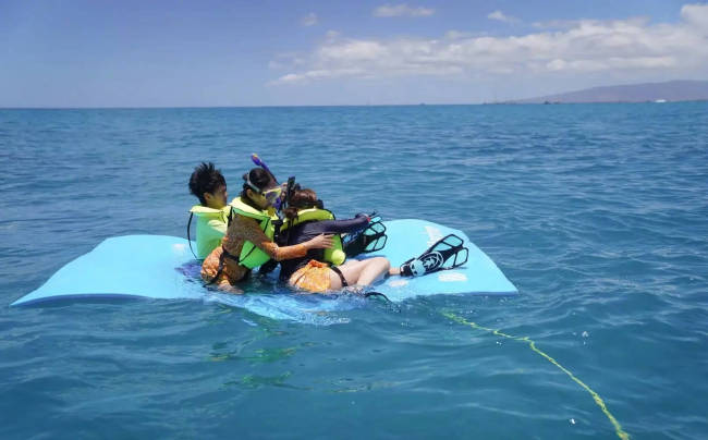 孙俪晒与孩子们游玩照 在海里呆俩小时找海龟