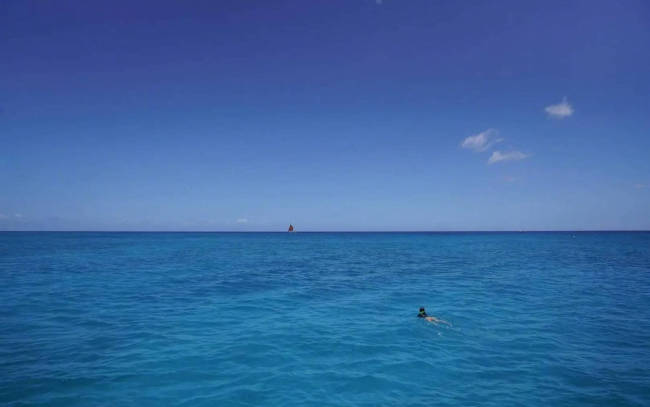 孙俪晒与孩子们游玩照 在海里呆俩小时找海龟