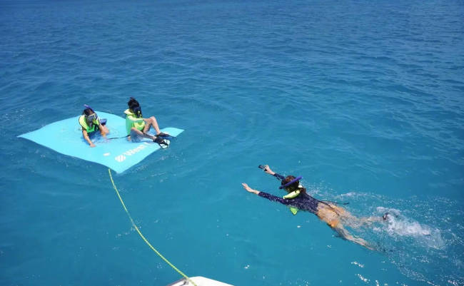 孙俪晒与孩子们游玩照 在海里呆俩小时找海龟