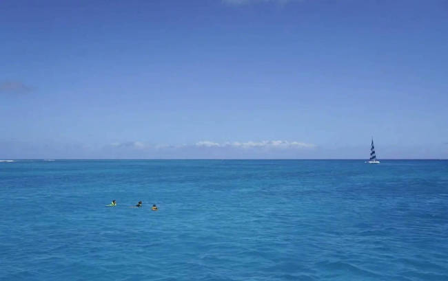 孙俪晒与孩子们游玩照 在海里呆俩小时找海龟