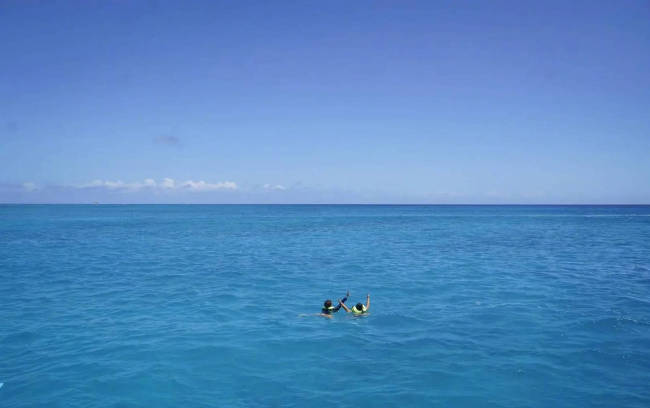 孙俪晒与孩子们游玩照 在海里呆俩小时找海龟